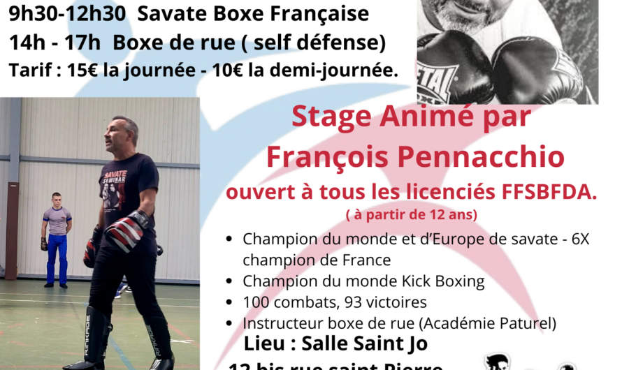 Stage de Savate Boxe Française et Boxe de Rue à Melle – 21 juin 2025