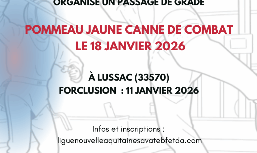 Pommeau jaune Canne de combat